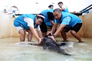 冰球突破-冰球电游豪华版_MG冰球游戏