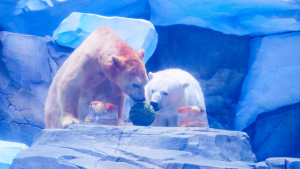 冰球突破-冰球电游豪华版_MG冰球游戏