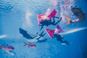 冰球突破-冰球电游豪华版_MG冰球游戏