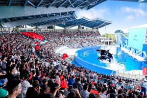 冰球突破-冰球电游豪华版_MG冰球游戏