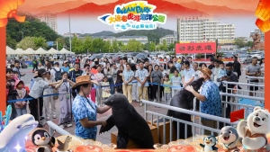 冰球突破-冰球电游豪华版_MG冰球游戏