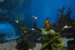 冰球突破-冰球电游豪华版_MG冰球游戏