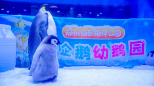 冰球突破-冰球电游豪华版_MG冰球游戏