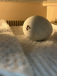 冰球突破-冰球电游豪华版_MG冰球游戏