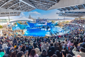 冰球突破-冰球电游豪华版_MG冰球游戏