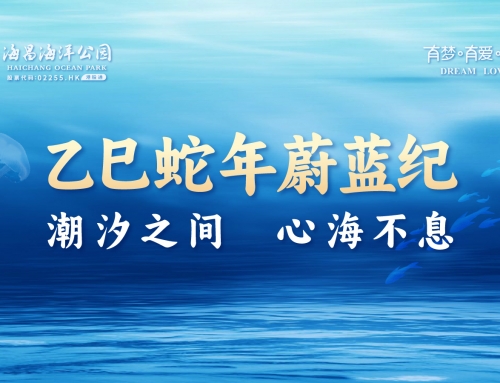 小年至 | 乙巳蛇年蔚蓝纪：：潮汐之间，心海不息