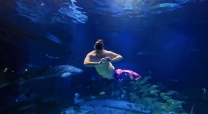 冰球突破-冰球电游豪华版_MG冰球游戏