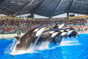 冰球突破-冰球电游豪华版_MG冰球游戏