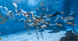 冰球突破-冰球电游豪华版_MG冰球游戏