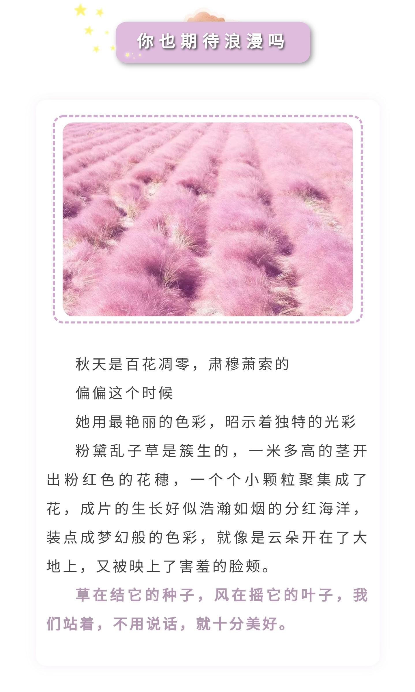 冰球突破-冰球电游豪华版_MG冰球游戏