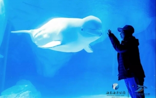 冰球突破-冰球电游豪华版_MG冰球游戏