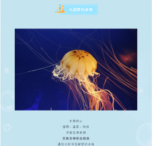 冰球突破-冰球电游豪华版_MG冰球游戏