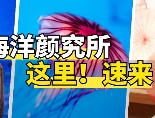 【海洋“颜”究所】9.9元特价票，，尚有奖励可领？会照相尚有福利！！！