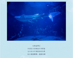 冰球突破-冰球电游豪华版_MG冰球游戏