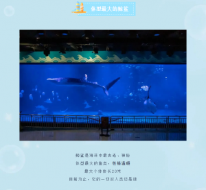 冰球突破-冰球电游豪华版_MG冰球游戏