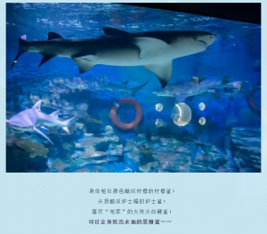 冰球突破-冰球电游豪华版_MG冰球游戏