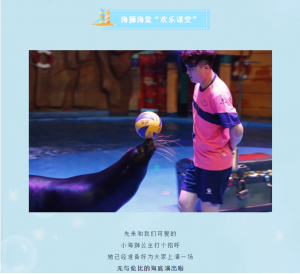 冰球突破-冰球电游豪华版_MG冰球游戏