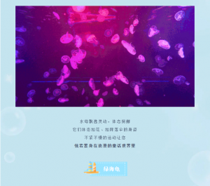 冰球突破-冰球电游豪华版_MG冰球游戏