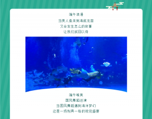 冰球突破-冰球电游豪华版_MG冰球游戏