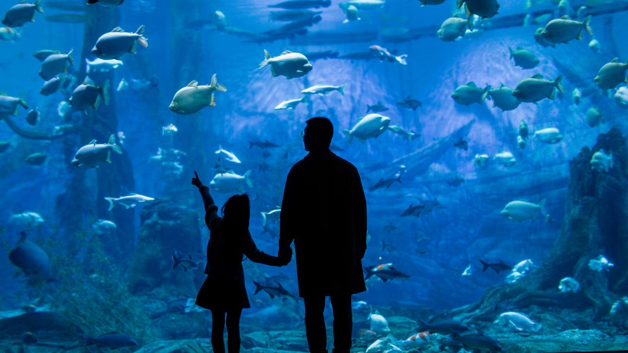 冰球突破-冰球电游豪华版_MG冰球游戏