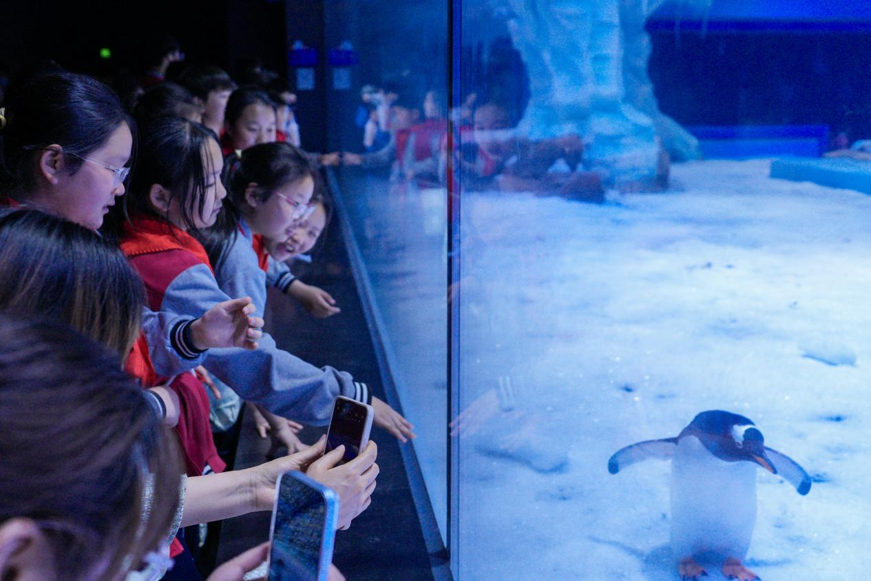 冰球突破-冰球电游豪华版_MG冰球游戏