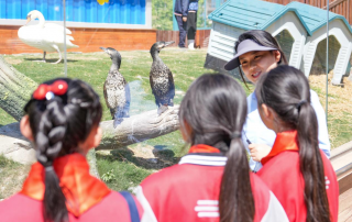 冰球突破-冰球电游豪华版_MG冰球游戏