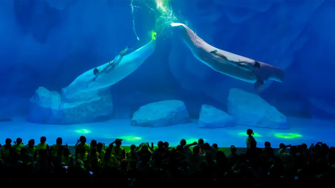 冰球突破-冰球电游豪华版_MG冰球游戏