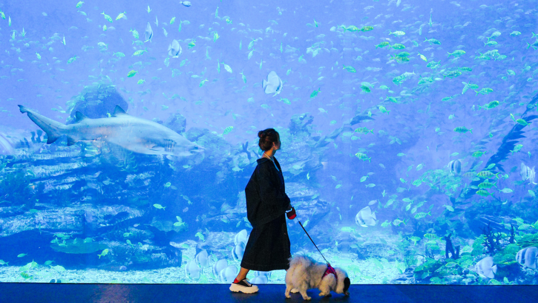 冰球突破-冰球电游豪华版_MG冰球游戏