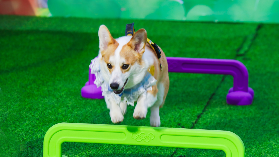 冰球突破-冰球电游豪华版_MG冰球游戏