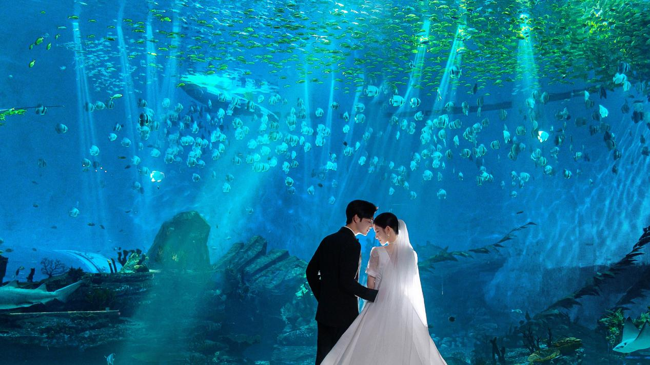 冰球突破-冰球电游豪华版_MG冰球游戏