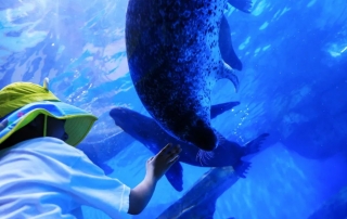 冰球突破-冰球电游豪华版_MG冰球游戏