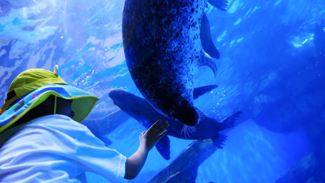 冰球突破-冰球电游豪华版_MG冰球游戏