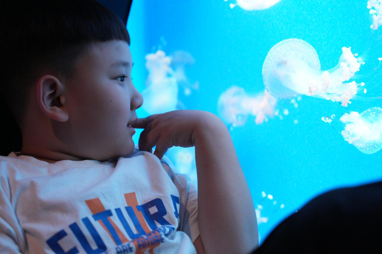 冰球突破-冰球电游豪华版_MG冰球游戏