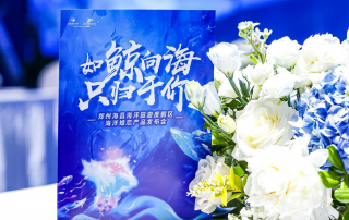 冰球突破-冰球电游豪华版_MG冰球游戏