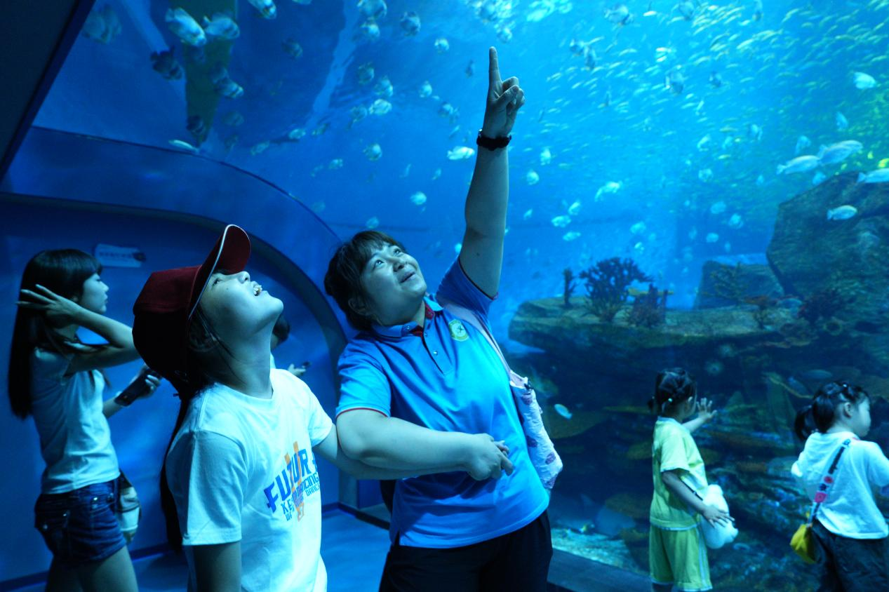 冰球突破-冰球电游豪华版_MG冰球游戏