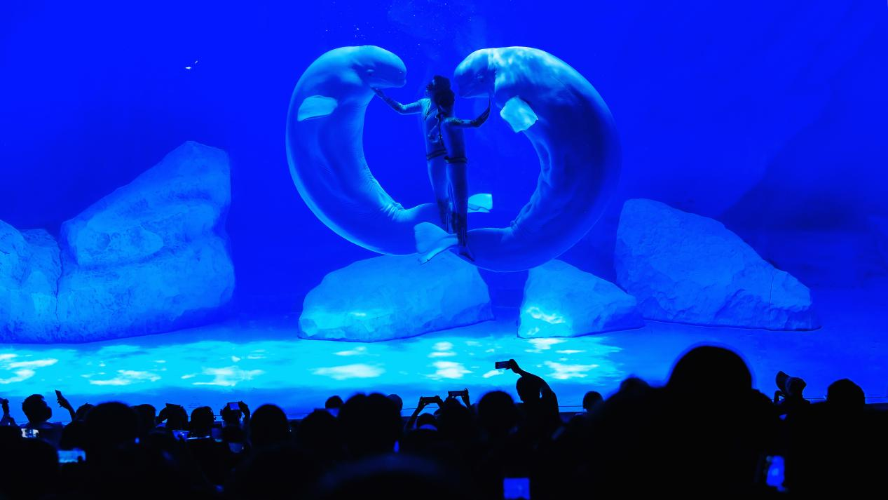 冰球突破-冰球电游豪华版_MG冰球游戏