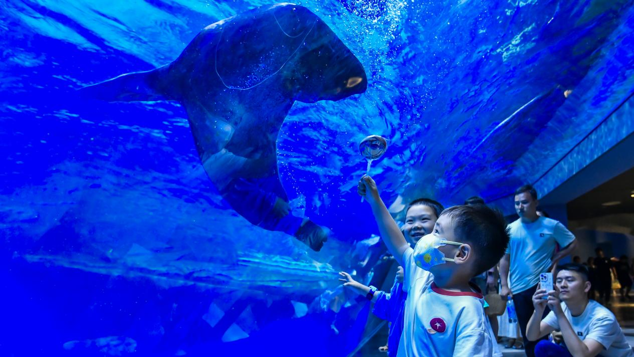 冰球突破-冰球电游豪华版_MG冰球游戏