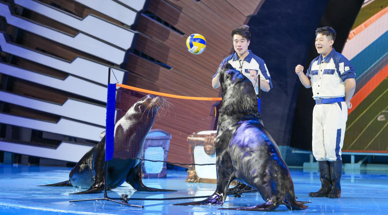 冰球突破-冰球电游豪华版_MG冰球游戏