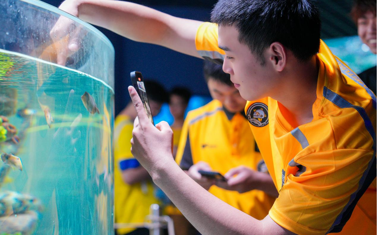 冰球突破-冰球电游豪华版_MG冰球游戏