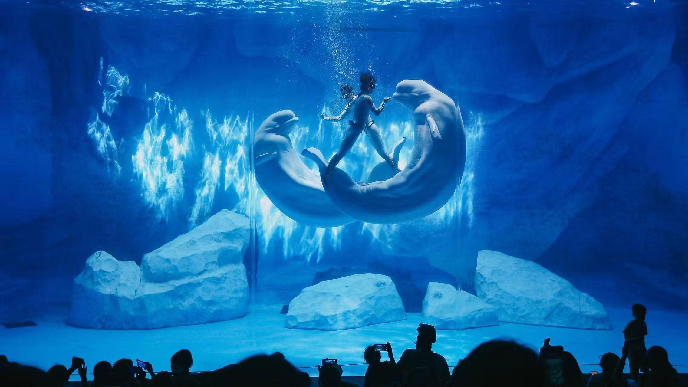 冰球突破-冰球电游豪华版_MG冰球游戏