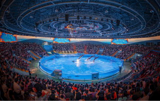 冰球突破-冰球电游豪华版_MG冰球游戏