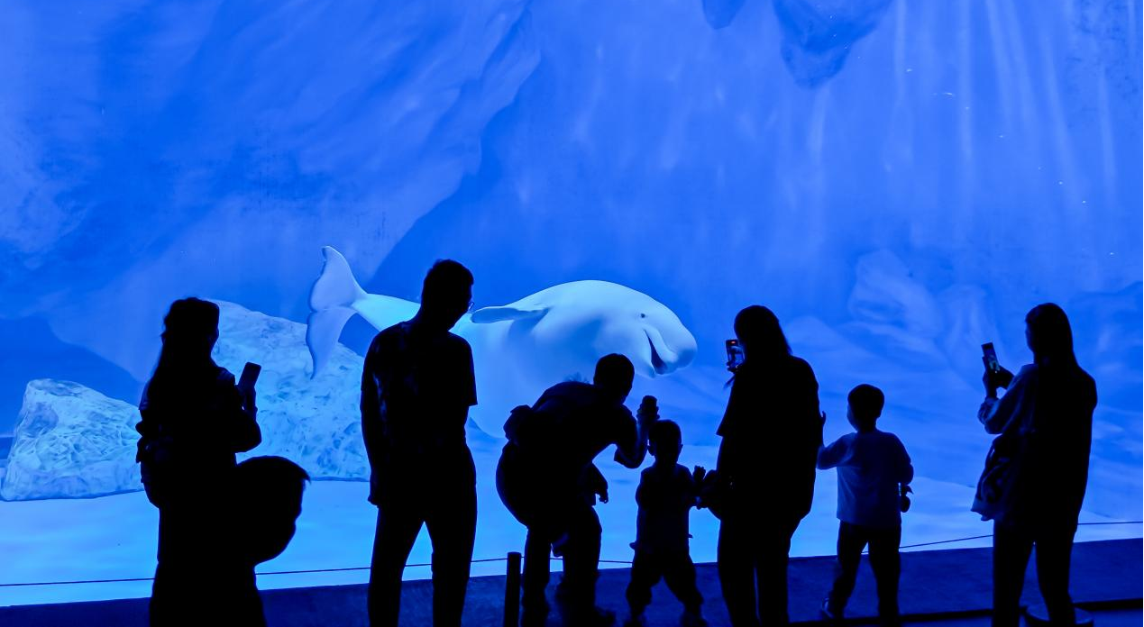 冰球突破-冰球电游豪华版_MG冰球游戏