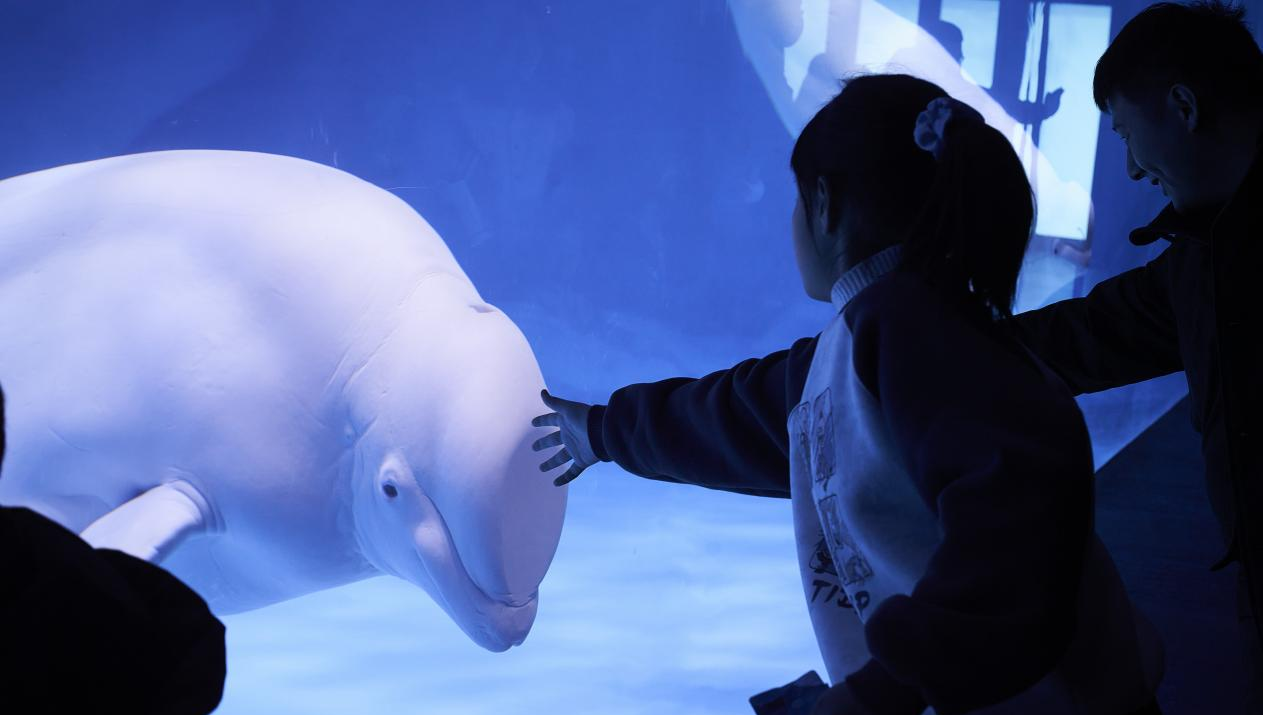 冰球突破-冰球电游豪华版_MG冰球游戏