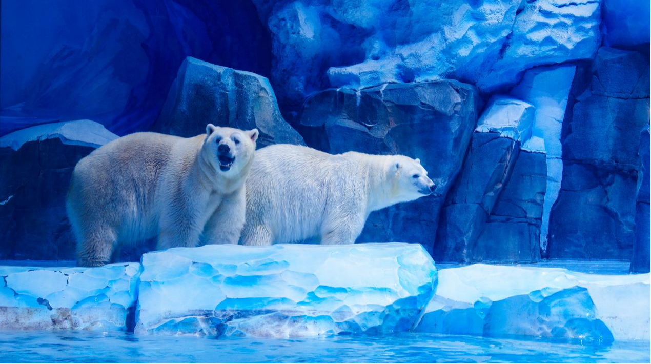 冰球突破-冰球电游豪华版_MG冰球游戏