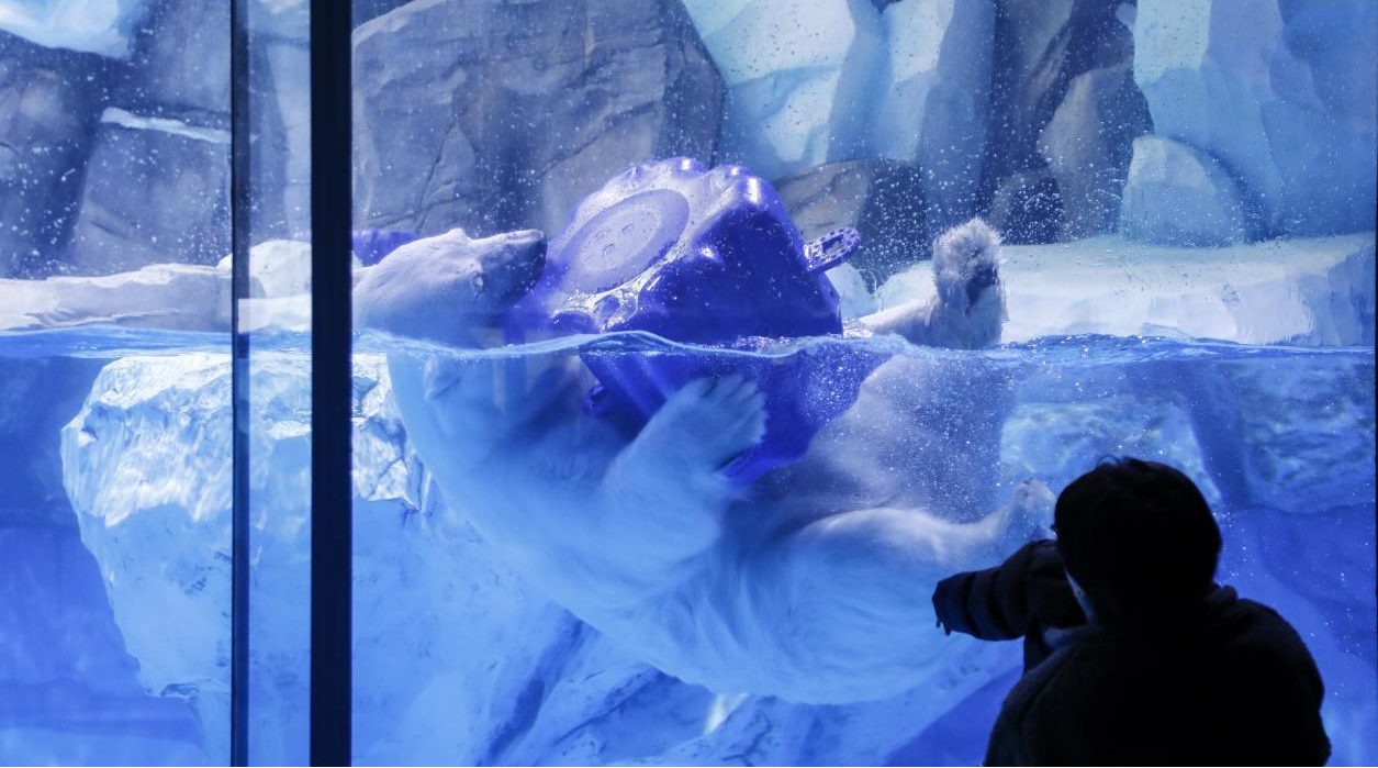 冰球突破-冰球电游豪华版_MG冰球游戏