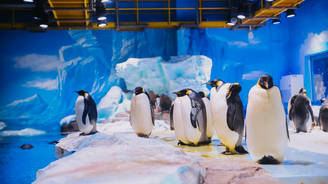 冰球突破-冰球电游豪华版_MG冰球游戏