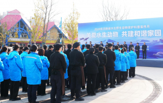 冰球突破-冰球电游豪华版_MG冰球游戏