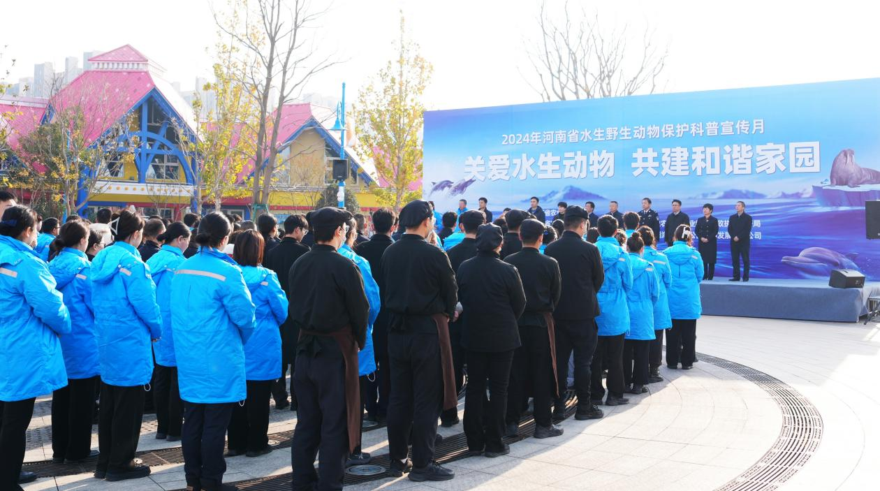 冰球突破-冰球电游豪华版_MG冰球游戏