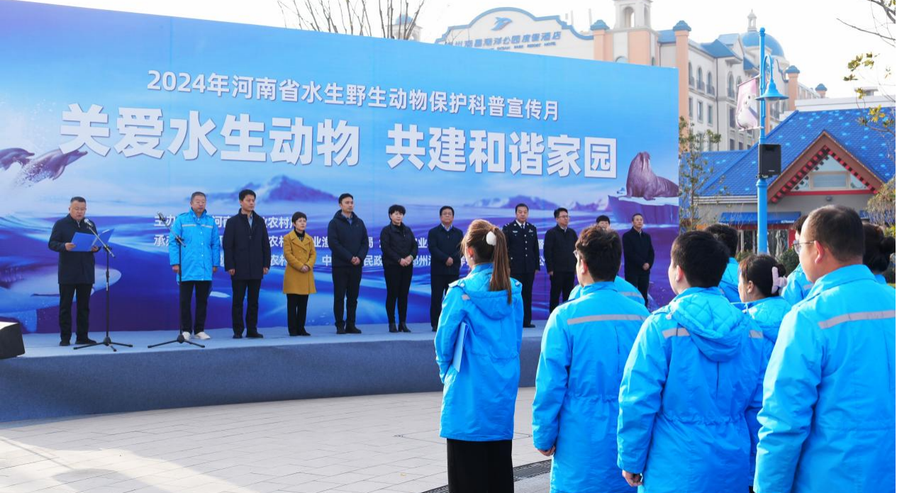 冰球突破-冰球电游豪华版_MG冰球游戏