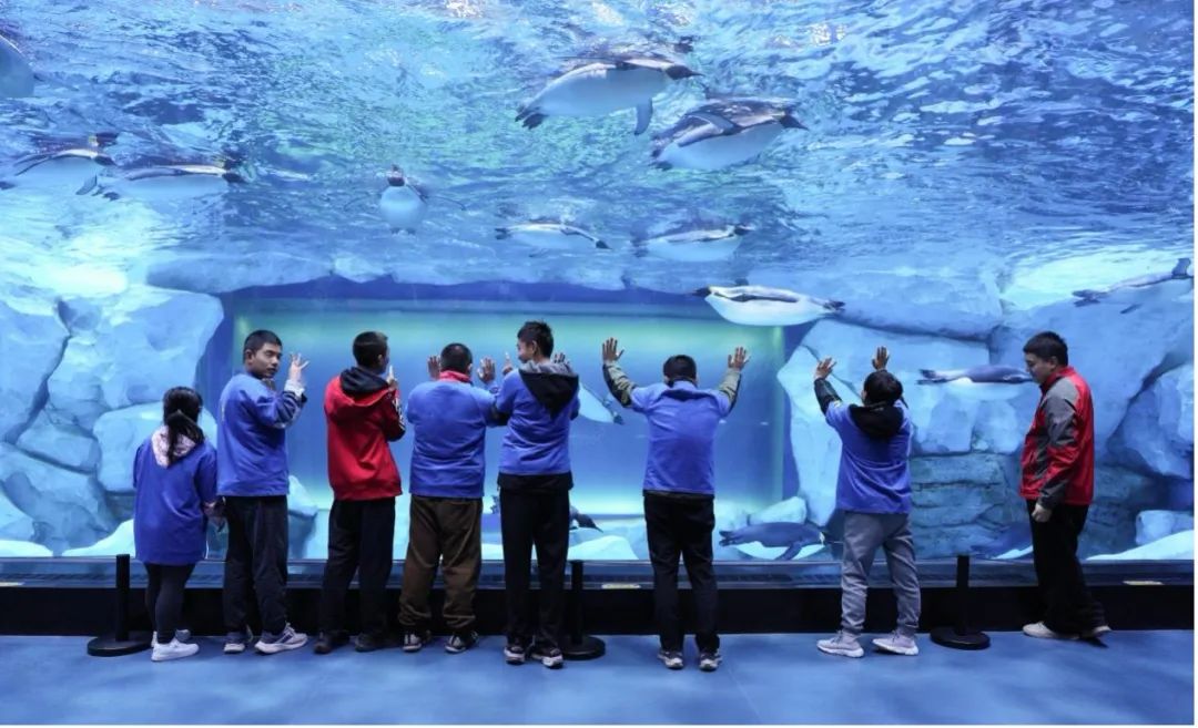 冰球突破-冰球电游豪华版_MG冰球游戏